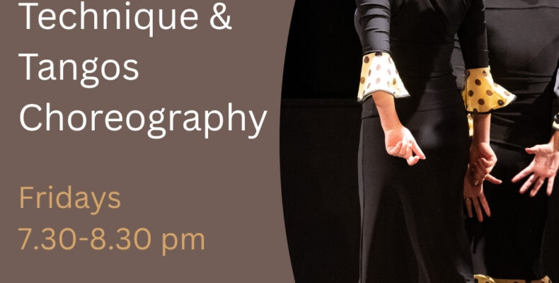 Beginner Flamenco course