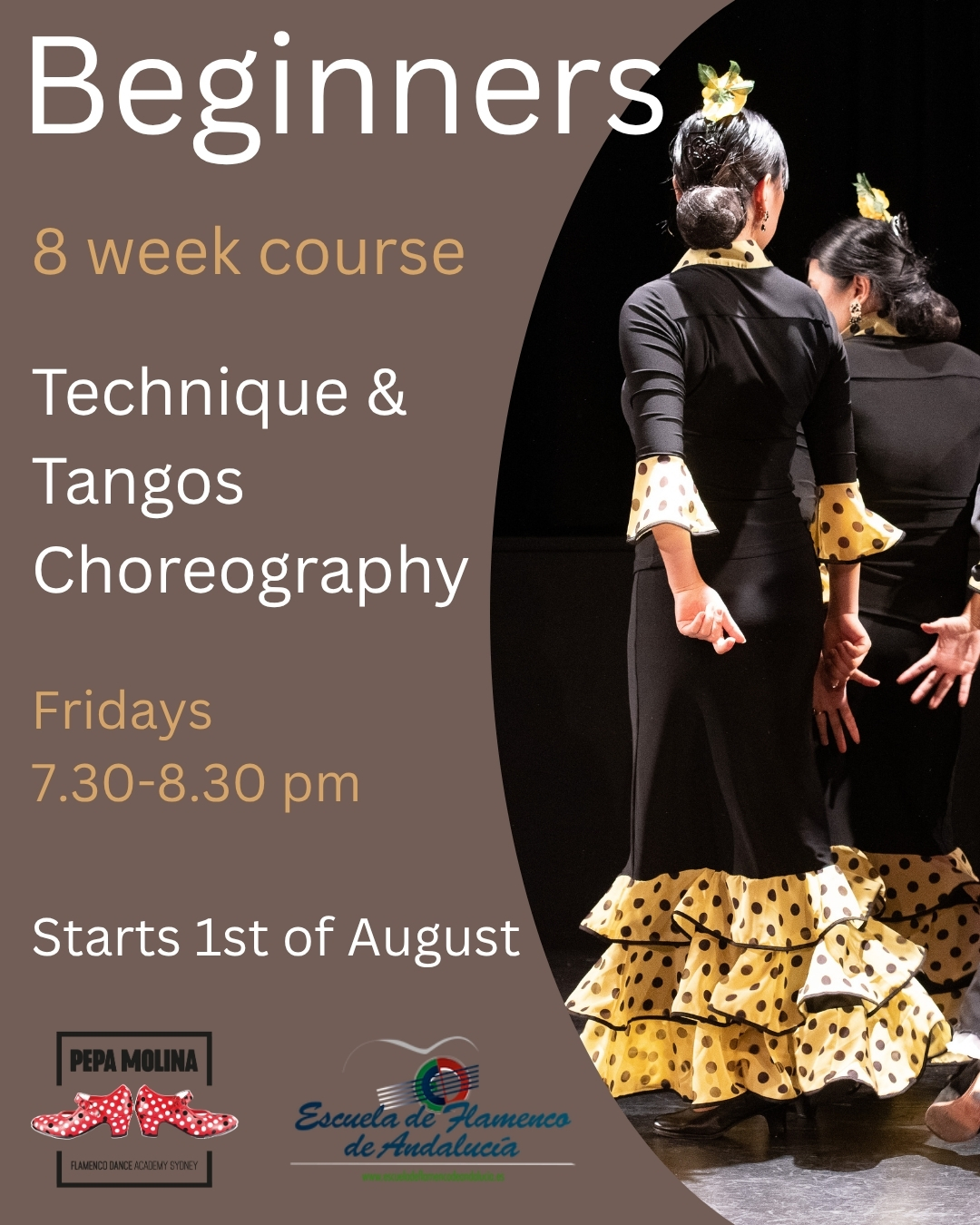 Beginner Flamenco course
